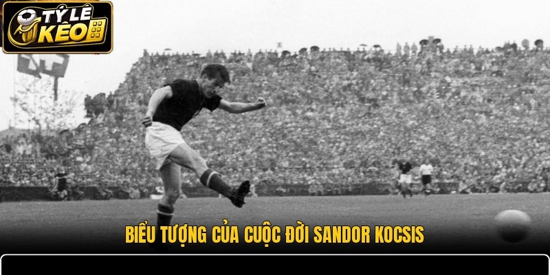 Biểu tượng của cuộc đời Sandor Kocsis