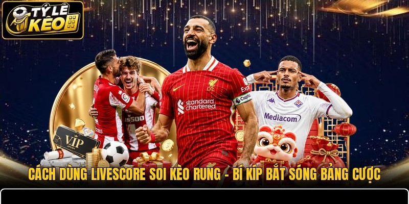 Cách Dùng Livescore Soi Kèo Rung
