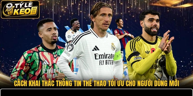 Cách khai thác thông tin thể thao tối ưu cho người dùng mới