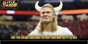 Cầu Thủ Erling Haaland
