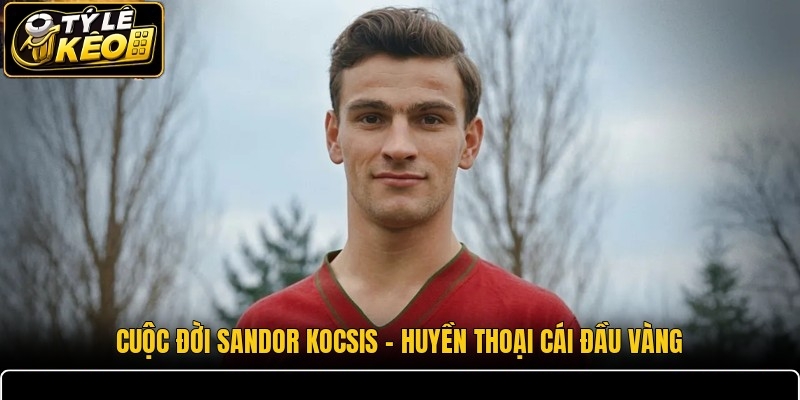 Cuộc Đời Sandor Kocsis