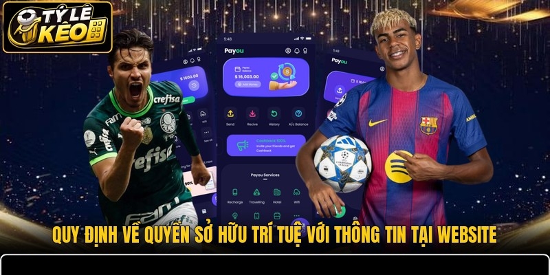 Quy định về quyền sở hữu trí tuệ với thông tin tại website