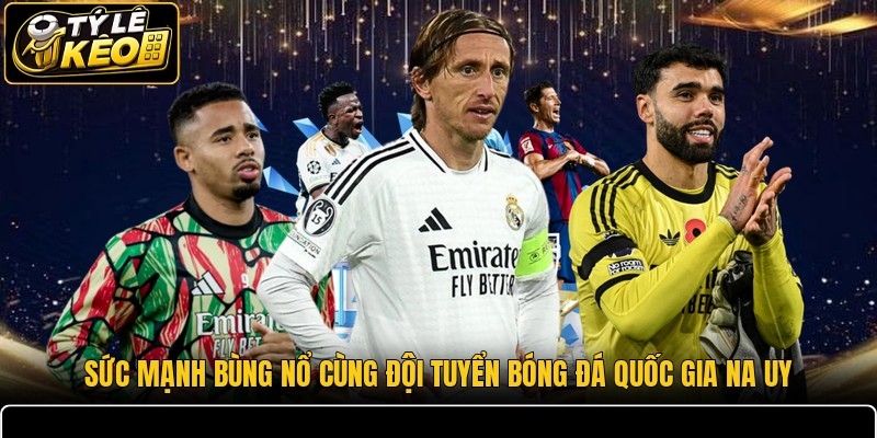 Đội Tuyển Bóng Đá Quốc Gia Na Uy